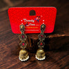 Statement Oxidised Color Matching Earrings