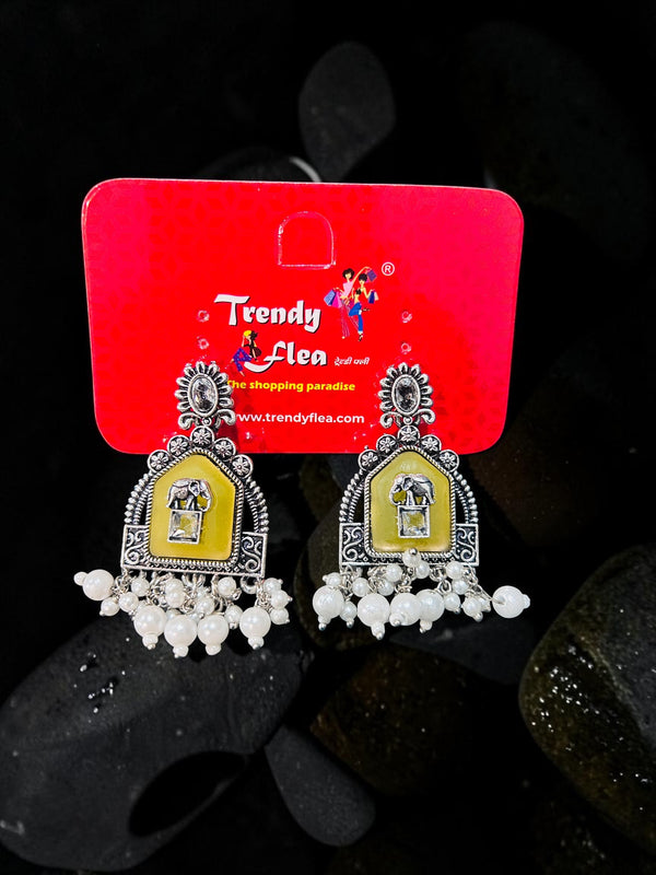 Fashion Earring